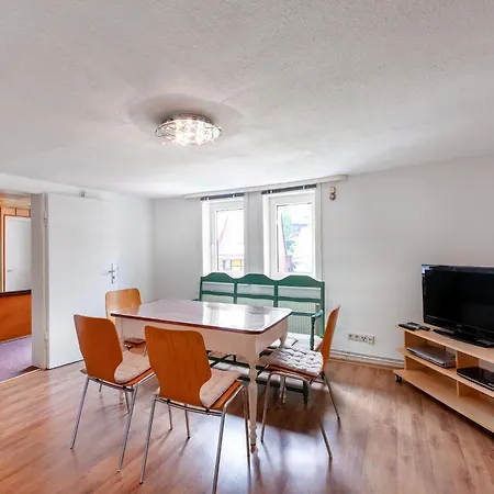 公寓 Ferienwohnung In Benneckenstein, Cleaning Included 贝尼肯斯汀
