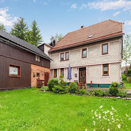 Ferienwohnung In Benneckenstein, Cleaning Included 公寓 贝尼肯斯汀