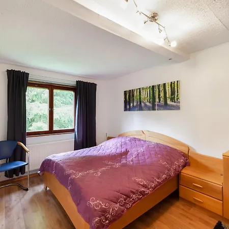 Ferienwohnung In Benneckenstein, Cleaning Included 公寓 贝尼肯斯汀