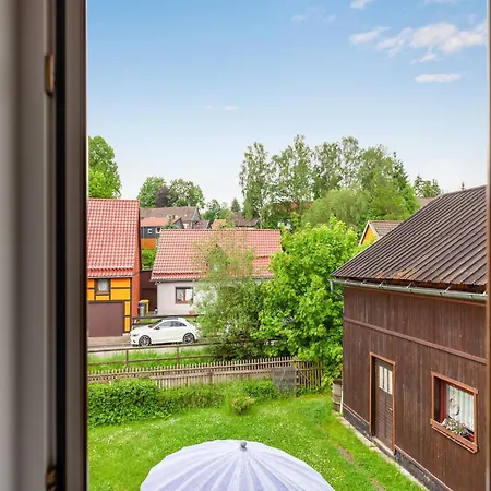 Ferienwohnung In Benneckenstein, Cleaning Included 公寓 贝尼肯斯汀