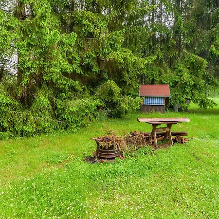 Ferienwohnung In Benneckenstein, Cleaning Included 贝尼肯斯汀